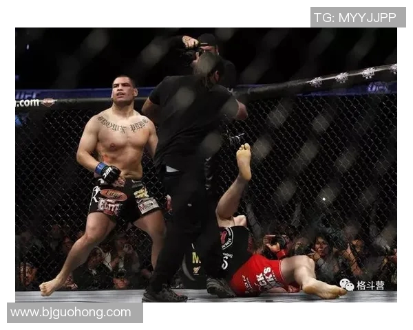 多斯桑托斯与凯恩的巅峰对决谁能笑到最后揭秘精彩战局与历史交锋